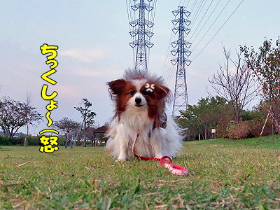 ¤É¤¤¤Æ¤¯¤À¤µ¤¤¡ú¢