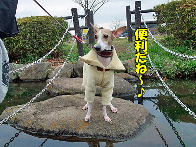 ¥é¥Ó¤¿¤ó¤È°ì½ï¢ö§