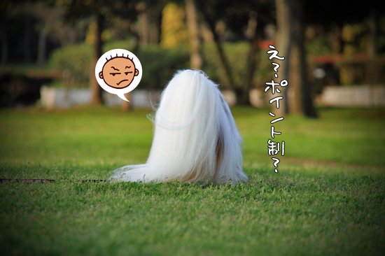 ¥Ý¥ó¤È¥Ý¥¤¥ó¥È´ë²è¡¡02