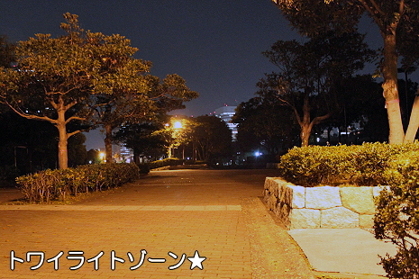 ¥È¥ï¥¤¥é¥¤¥È¡ú¥µ¥¶¥Ó¡¼¢