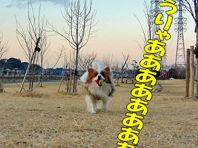 ¤µ¤é¤ÐÀ㸶¡ª©