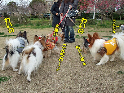 ¤¹¤×¤ê¤ó¤°¡ú¥×¥Á¥ª¥Õ part2¬