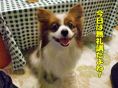 ¿·Ç¯²ñ¡úÂèÆóÉô¥