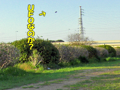 ¥µ¥¶¥Ó¡¼¤ÈUFO¢