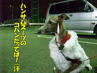 ¥Ï¥ó¥µ¥à¡ú¥¹¡¼¥Ä¥