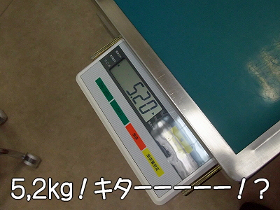 »Äǰ¤Ê¤ªÃΤ餻¡¦¡¦¡¦¡¦¡¦¨