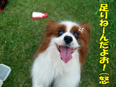 ¤ª¤¹¤ï¤ê¤
