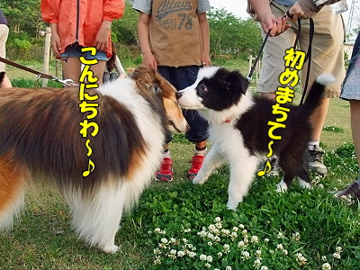 ¥¥å¡¼¥Ó¡¼¡ú©
