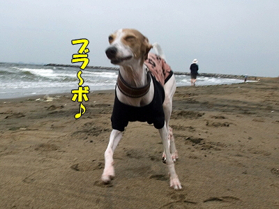 °ðÌÓ³¤É͸ø±à¤Ë¤Æ¡¦¡¦¡¦¨