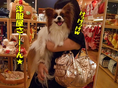 Happy Birthday HERMES¡¡2008£