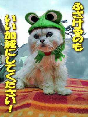 ¤¤¤¤²Ã¸º¤Ë¤·¤Æ¤¯¤À¤µ¤¤¡ª