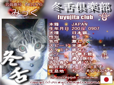 276-mick-fuyu