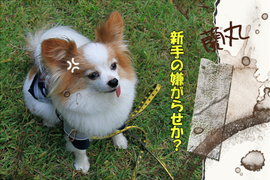 ¡Ú¥µ¥¶¥ª¥Õ2011¡Û part5¡¡05