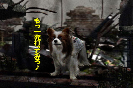 Ìи¶¥Æ¥í¡ú27