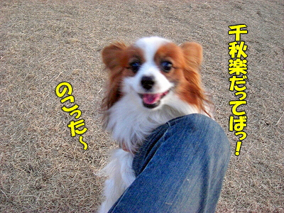I AM LEGEND¡¦¡¦¡¦¡©¨