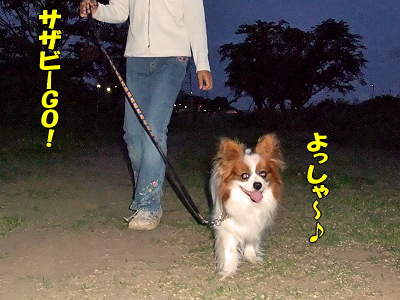 µº¤ì¡¦¡¦¡¦¡¦¨