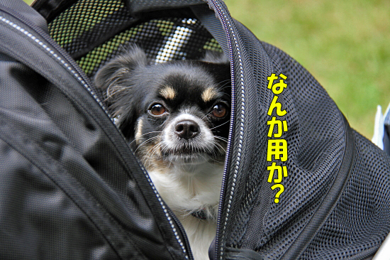 ¡Ú¥µ¥¶¥ª¥Õ2011¡Û part4¡¡04
