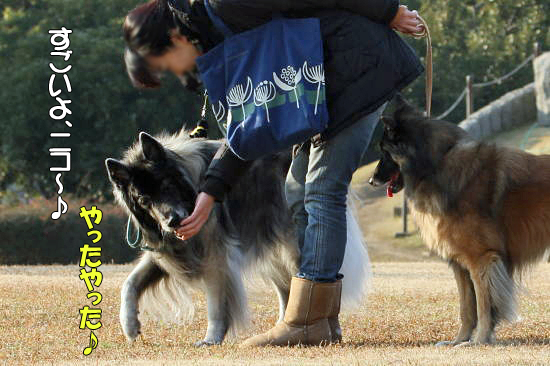 ¤â¤¦°ìÅÙ¡¢¥Ë¥³¥é¥¹¡¡23