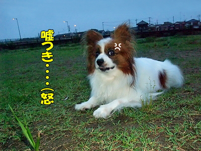 ³§´ûÆü¿©ª