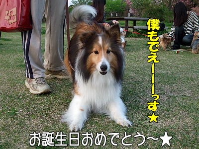 ¤ß¤ó¤Ê¤ª¤á¤Ç¤È¤¦¡ú§