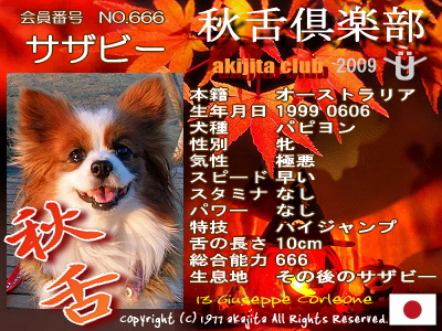 ½©Àå¶æ³ÚÉô2009_666¥µ¥ó¥×¥ë
