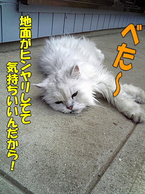 µ¤»ý¤Á¤¤¤¤¡Á¡ú