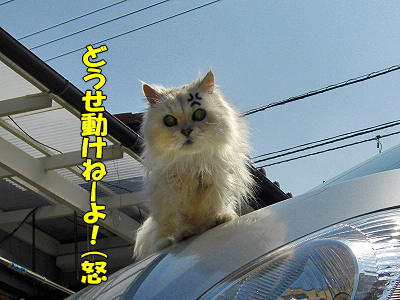 ¤ä¤ê¤¿¤¤¤³¤È¡ªª