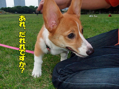 ¥³¥®ÉסúÍè½±¡ª¦