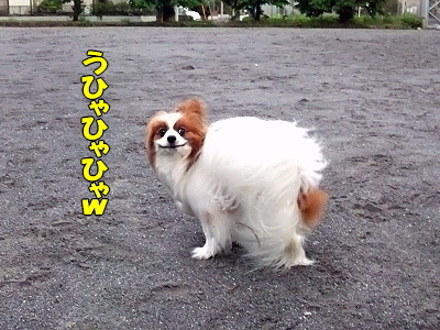 µ¤Ê¬²°¡¦¡¦¡¦¡¦¨