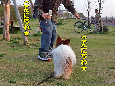¥Þ¡¼¥Ù¥ë¤ÈÍëÁµ