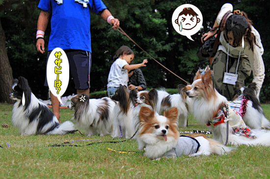 ¡Ú¥µ¥¶¥ª¥Õ2011¡Û part6¡¡05