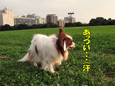 ¤¢¤Ã¤Ä¤¤¡¦¡¦¡¦¡¦¤