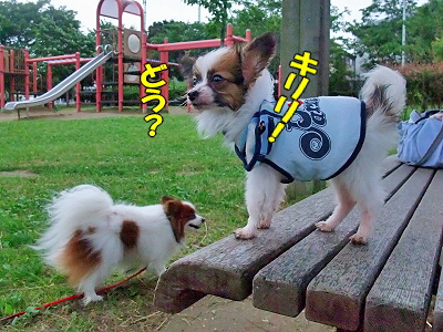 ¥Ó¥¬¥íºÆ¤Ó¡ª£