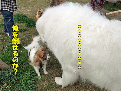 ¿ðÊæ¤Ø£Ç£Ï¡¼¡ª28