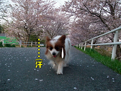 ºù²Öà¥Ì¡±