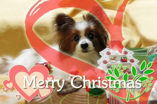 Merry Christmas 2010 22
