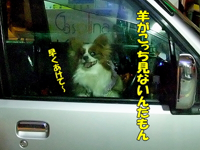 ¥¹¥¥ë¡ú¥¢¥Ã¥×¨