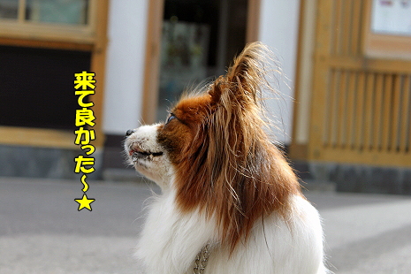 Æî˼Áí¤Ç¥«¥Ä¥ª¤ò¡ú¯
