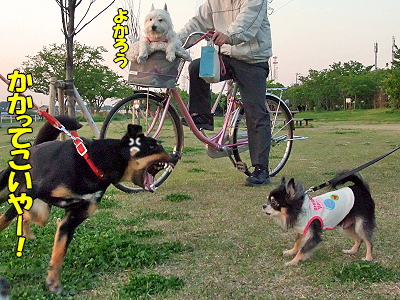 ¥Ý¥³¥¿¥óÍè½±¡ªª