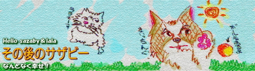 ÌÏÍÍÂØ¤¨¡ú¨