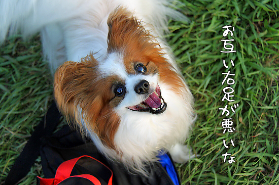 Ƨ¤ó¤À¤ê¡¢½³¤Ã¤¿¤ê¡¢Ç±ºÃ¤·¤¿¤ê¡¦¡¦¡¦¡¡03