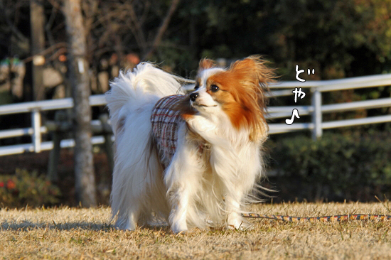 ¸¡ºº·ë²Ì¤Î¸ì¤ë¥â¥Î¡¡12
