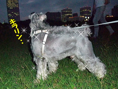 ÇòÃã²ñ¾ì¤Ø¤è¤¦¤³¤½¢ö¬