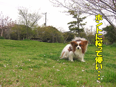 ºù»¶¤ë¡¦¡¦¡¦¦