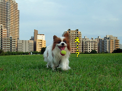½©¤Î¥ª¥Õ²ñ¤Î¤ªÃΤ餻¡ú£
