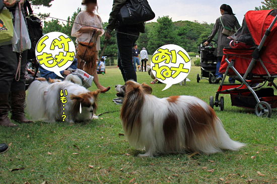 ¡Ú¥µ¥¶¥ª¥Õ2011¡Û part7¡¡21