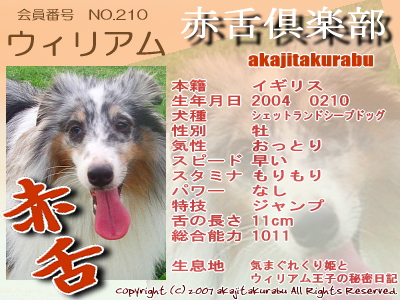 210-¥¦¥£¥ê¥¢¥à