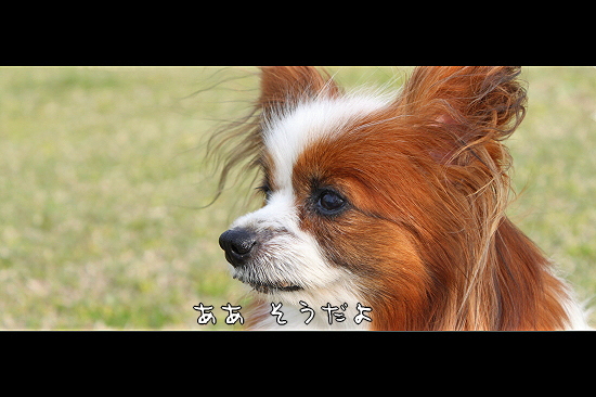 ¤µ¤è¤Ê¤é¡¢AKI¤µ¤ó¡¦¡¦¡¦¥Õ¥¡¥¤¥Ê¥ë¡ª