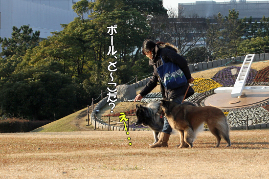 ¤â¤¦°ìÅÙ¡¢¥Ë¥³¥é¥¹¡¡20