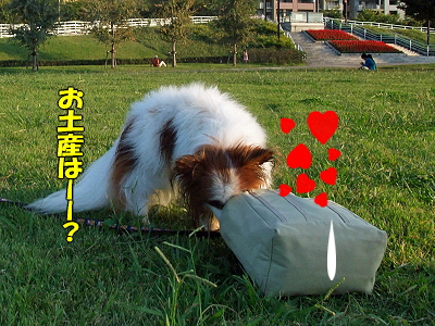 ¥é¥Ó¥¿¥¤¥à¢ö¡ÊÁ°Êԡ˧